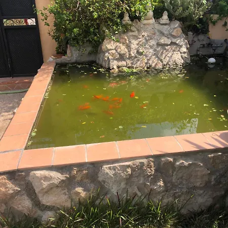 Family House With Pool Near Playa De Palma Holiday home